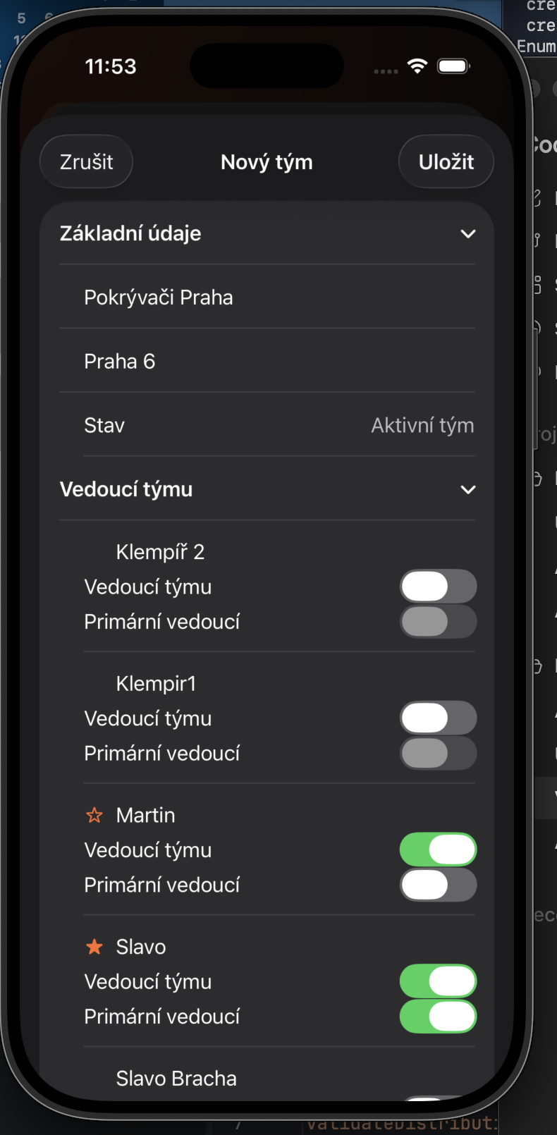 Volba vedoucích týmu a primárního vedoucího