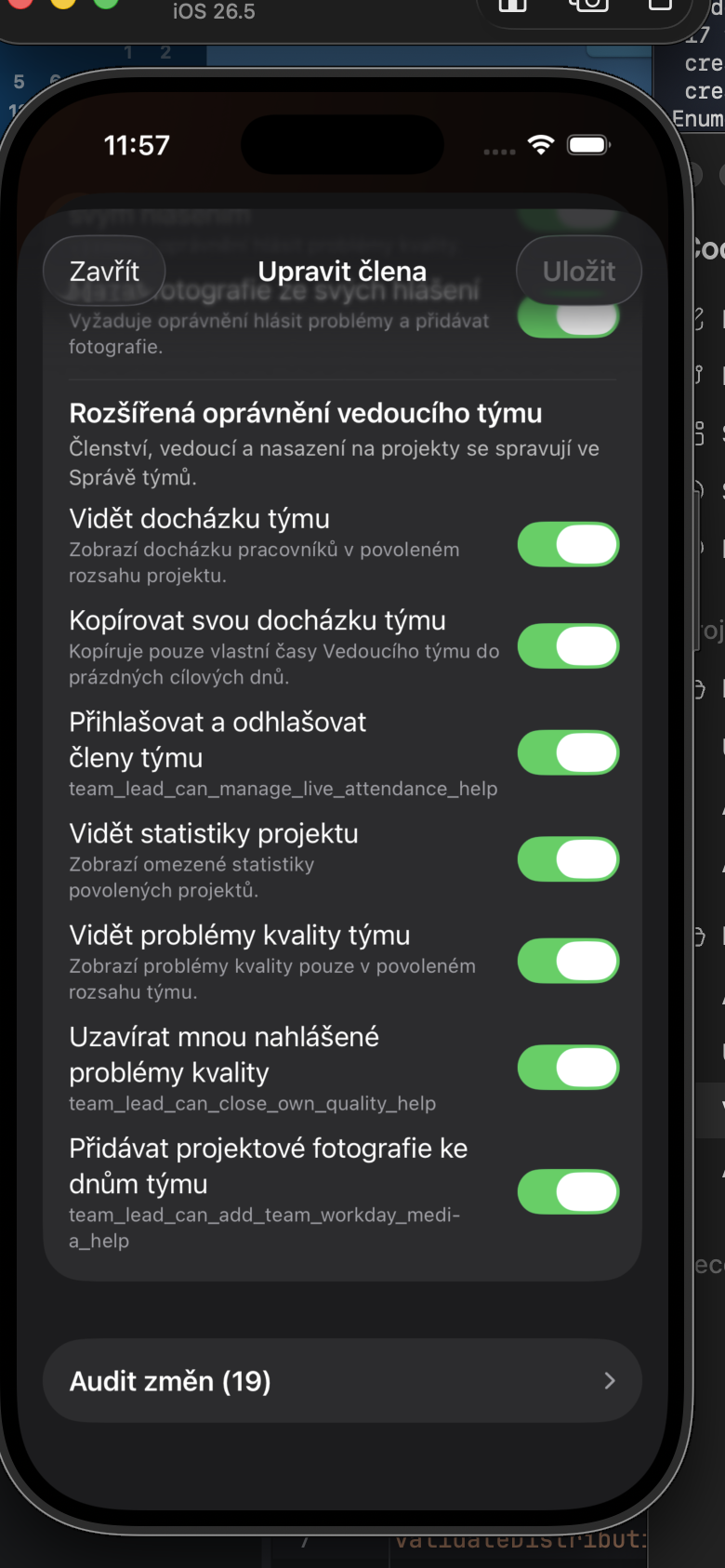 Rozšířená oprávnění vedoucího týmu