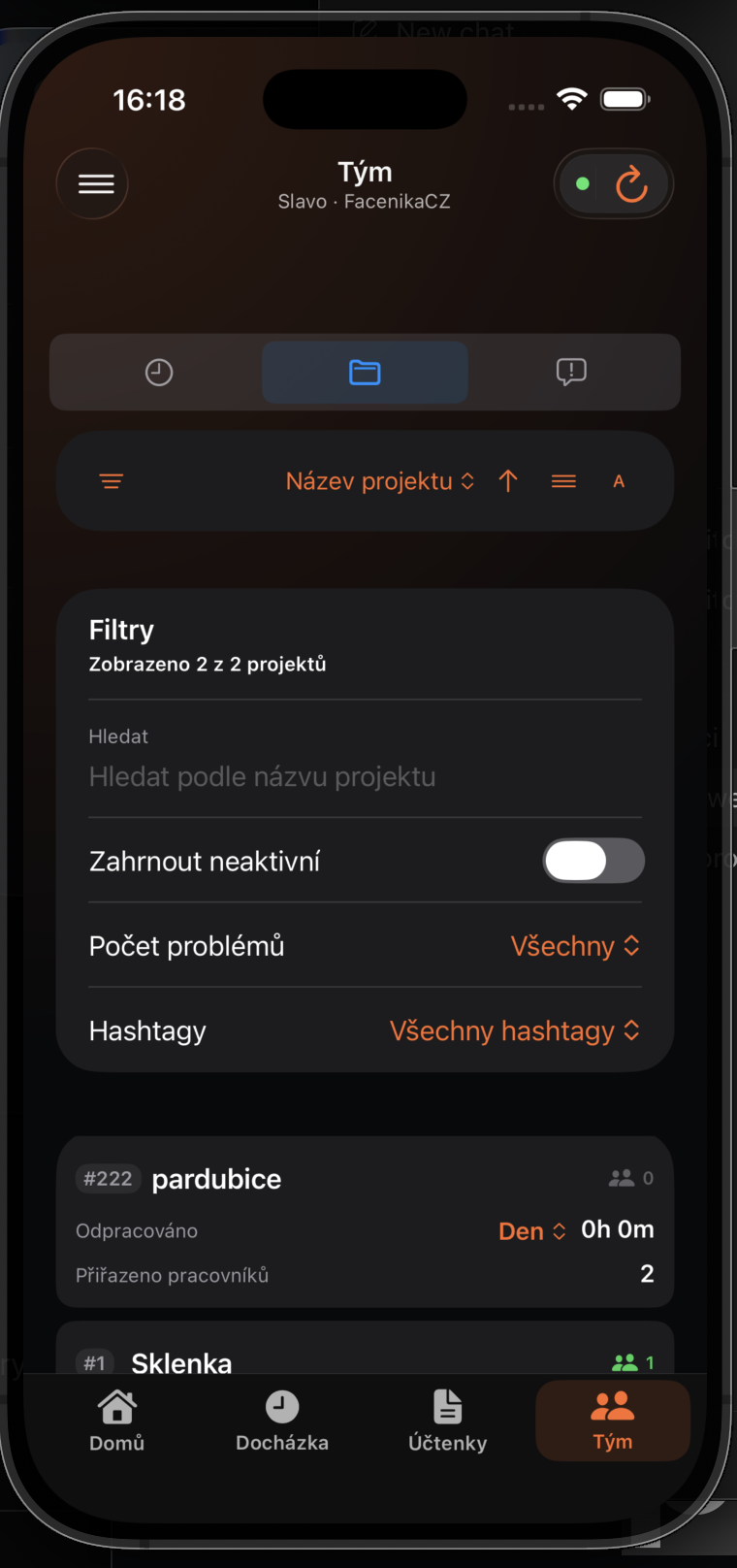 Filtry projektového dashboardu vedoucího týmu